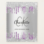 Zilveren glitter druppelt paarse zakelijke logo 20 planner (Voorkant)