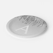 Zilveren Glitter & Glans Monogram Verjaardag Papieren Bordje (Gekanteld)