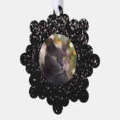 Zilveren Glitter op Zwarte Gepersonaliseerde Kat Ornament Kaart (Links)
