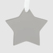 Zilveren Glitter Ster Ornament (achterkant)