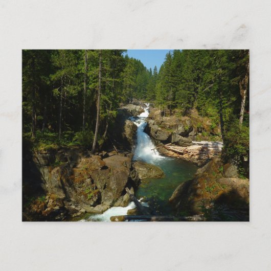 Zilveren Herfsten in het nationaal park Mount Rain Briefkaart (Voorkant)