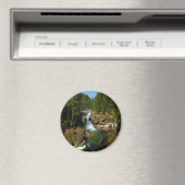 Zilveren Herfsten in het nationaal park Mount Rain Magneet (Insitu (Vaatwasser))