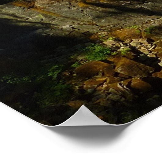 Zilveren Herfsten in het nationaal park Mount Rain Poster (Hoek)