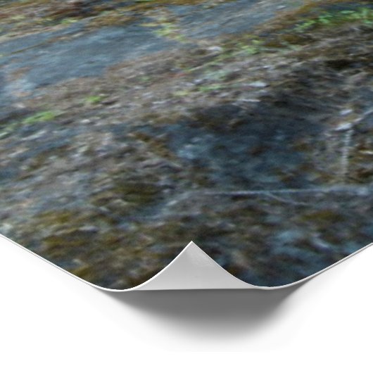 Zilveren Herfsten, nationaal park Mount Rainier Poster (Hoek)