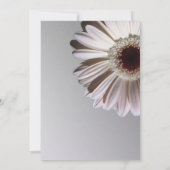 Zilveren Huwelijksdag Gerbera Kaart (Achterkant)