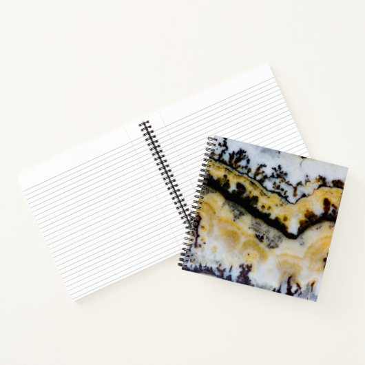Zilveren Kant Onyx Notitieboek (Binnen)