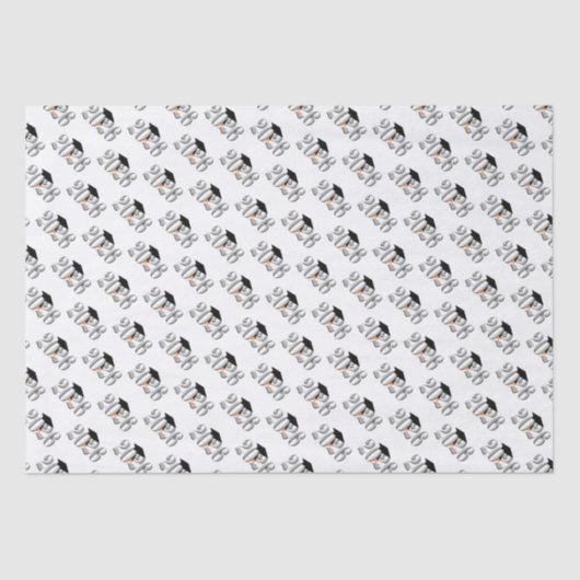 Zilveren Klasse van 2026 Afstuderen Tissuepapier (Voorkant)