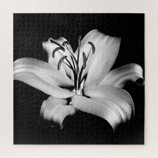 Zilveren Lelie: Monochrome bloemige elegantie. Legpuzzel