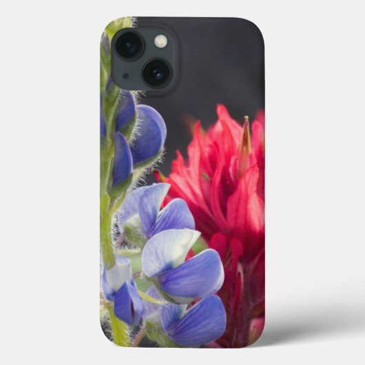 Zilveren Lupine, Lavendel Kwast Case-Mate iPhone Case (Achterkant)