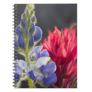 Zilveren Lupine, Lavendel Kwastjesbloem Notitieboek