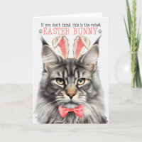 Zilveren Maine Coon Kat in Konijnenoren voor Pasen