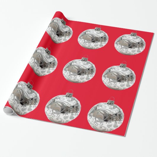 Zilveren Ornamenten op rood inpakpapier (Uitgerold)