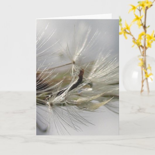 Zilveren Paardenbloem Poof Shimmers in Sun Kaart (Gele Bloem)