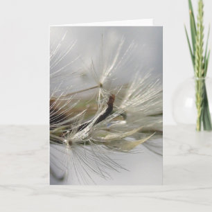 Zilveren Paardenbloem Poof Shimmers in Sun Kaart