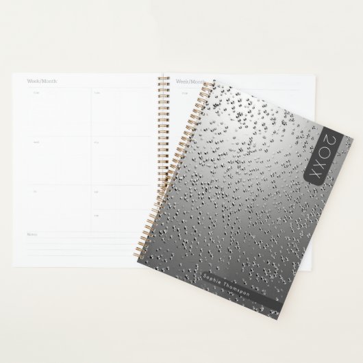 Zilveren parels nieuwjaar planner (Display)
