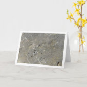 Zilveren rots, stenen achtergrond kaart (Gele Bloem)