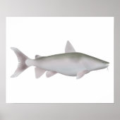 zilveren schoenmaker poster (Voorkant)