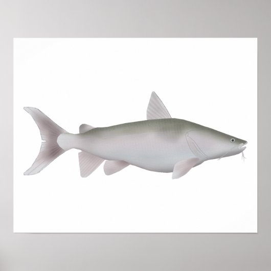 zilveren schoenmaker poster (Voorkant)