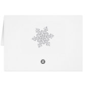 Zilveren sneeuwvlok op blauw tabelnummer (Achterkant Horizontaal)