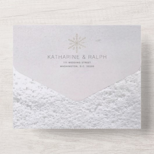 Zilveren sneeuwvlok winter wit bruiloft alles in é all in one uitnodiging (Achterkant)