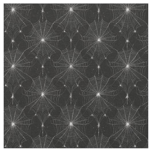 Zilveren Spiderweb Kant op Zwart Stof (Close Up)
