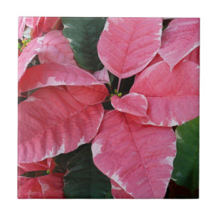 Zilveren Ster Marmer Poinsettia's Roze Kerst Bloem Tegeltje