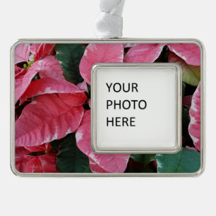 Zilveren Ster Marmer Poinsettia's Roze Kerst Bloem Verzilverd Omlijst Ornament
