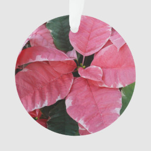 Zilveren Ster Marmer Poinsettia's Roze Vakantie Bl Ornament