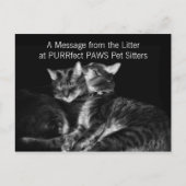 Zilveren Tabby Katten Huisdier Sitter Handout Busi Briefkaart (Voorkant)