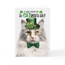 Zilveren Tabby Noorse Boskat St CATrick's Day