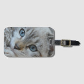 Zilveren Tabby Siamese Bagagelabel (Voorkant (horizontaal))