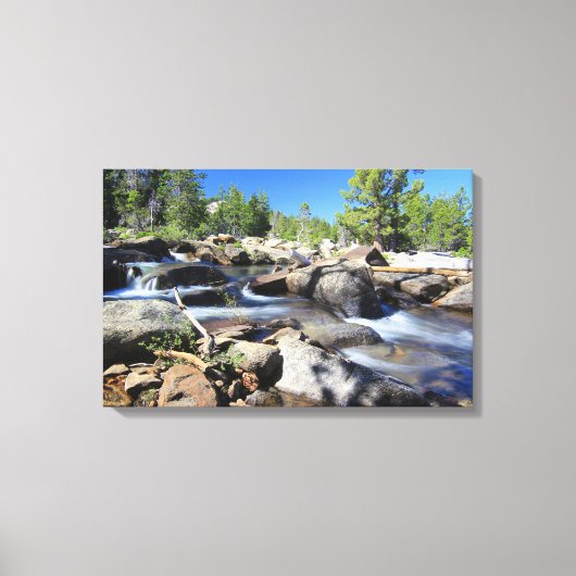 Zilveren vork van de Amerikaanse rivier, Canvas (Voorkant)