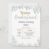 Zilveren Winter Onederland Verjaardag Uitnodiging (Voorkant)