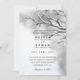 Zilveren wintertrouwkaarten kaart