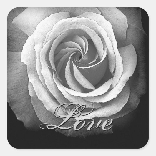 Zilveren Witte Bruiloft Roos Vierkante Sticker (Voorkant)