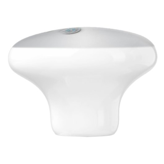 Zilveren Zeeen schildpad | Kustgebied Keramische Knop (Zijkant)