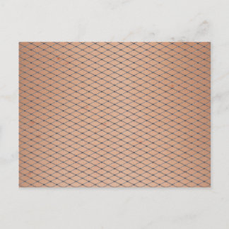 Zilvergeweven visnetten met huidtextuur briefkaart