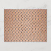 Zilvergeweven visnetten met huidtextuur briefkaart (Voorkant)