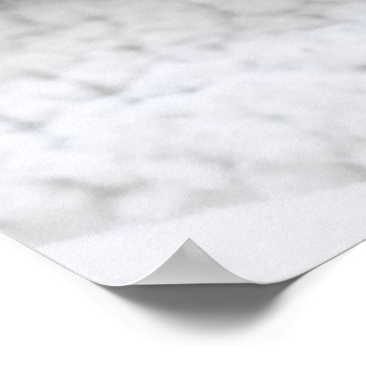 Zilvergradiënt schotel poster (Hoek)