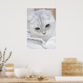 Zilvergradiënt schotel poster (Keuken)