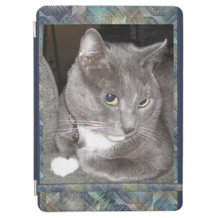 Leuke Kat Ipad Hoesjes & Covers | Zazzle Nl