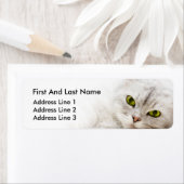 Zilverkleurige Perzisch Etiket (Insitu)