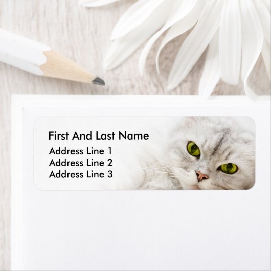 Zilverkleurige Perzisch Etiket (Insitu)