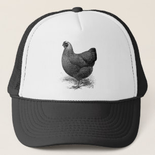 zilverkleurige wyandotkip trucker pet