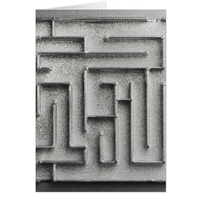 Zilvermaze (Voorkant)