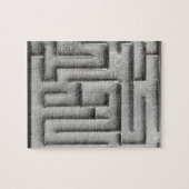 Zilvermaze Legpuzzel (Horizontaal)
