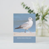 Zilvermeeuw Briefkaart (Staand voorkant)