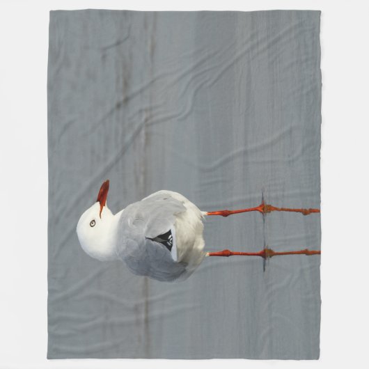 ZILVERMEEUW FLEECE DEKEN (Voorkant)