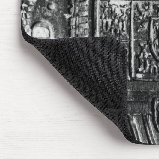 Zilvermunt Muismat (Hoek)