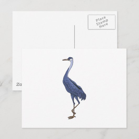 zilverreiger briefkaart (Voorkant / Achterkant)